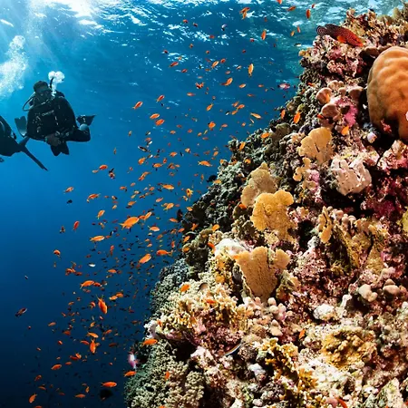 Apartament Aenaon Corfu Luxury #05 - Athena